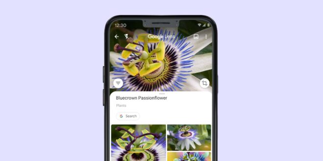 The Google Lens app is a powerful image recognition tool