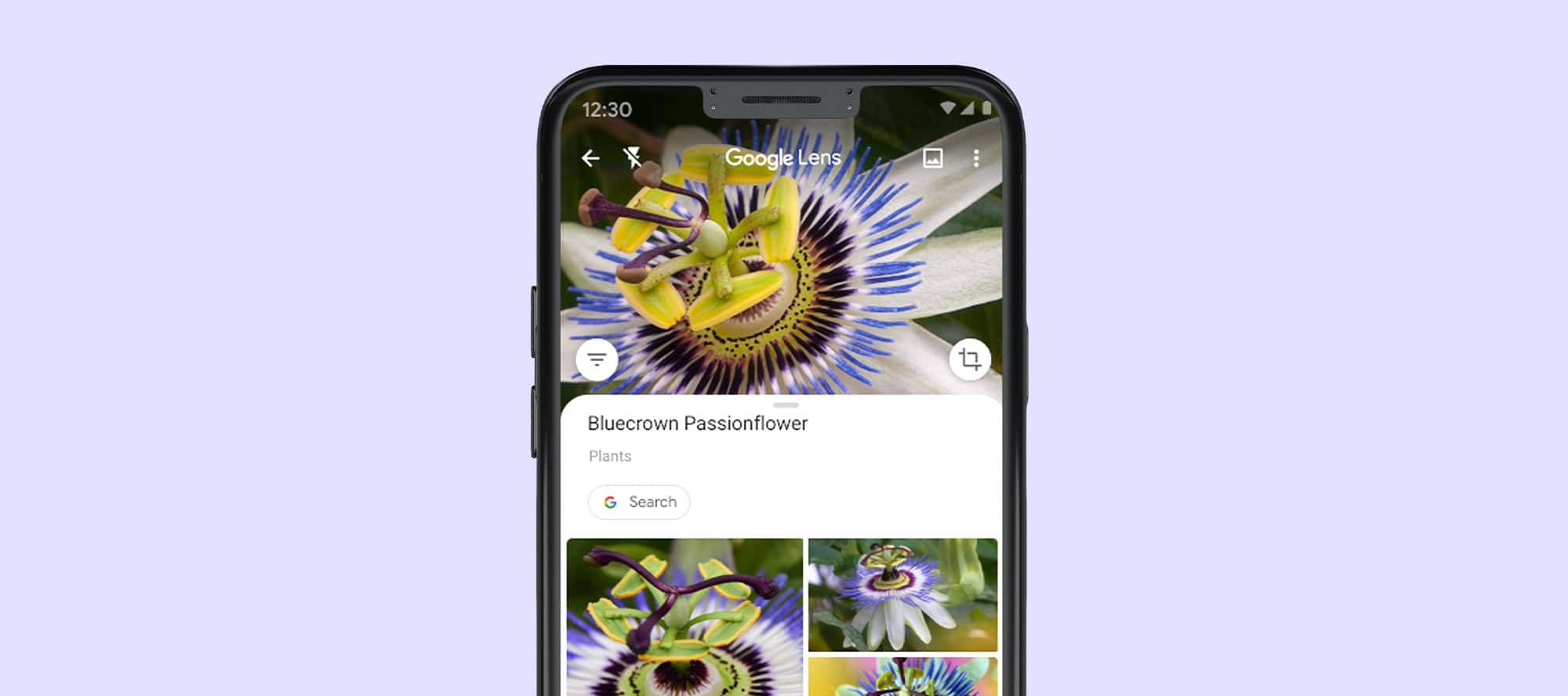 The Google Lens app is a powerful image recognition tool